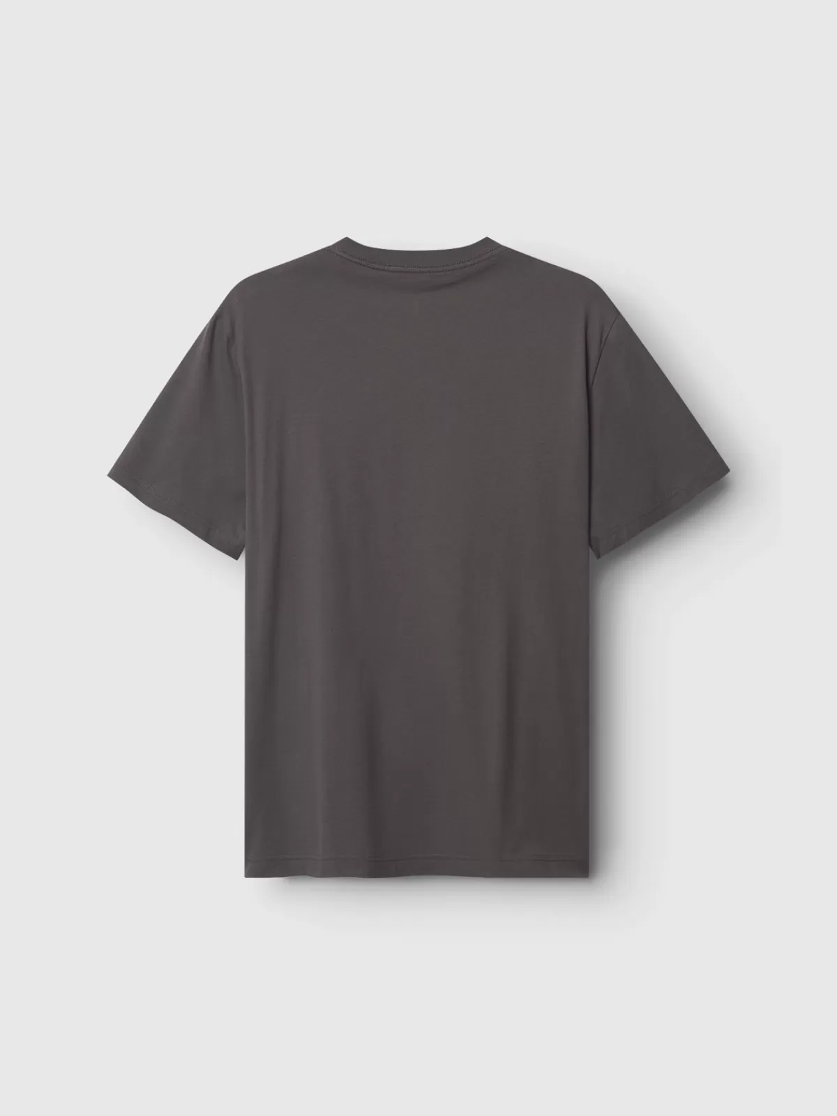 GABBA T-shirts<Dune Logo SS GOTS Grey